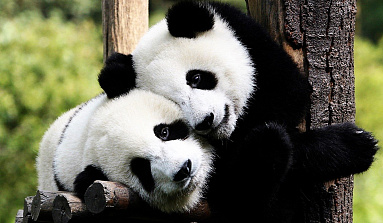 Легенды Южного Китая: от Чэнду до Фэнхуана