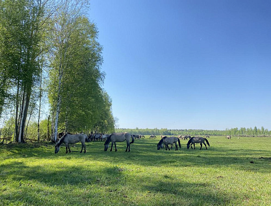 Нечаканая правінцыя - Изображение 4