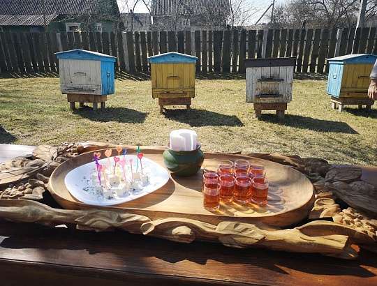 Белорусский калейдоскоп: агроусадьба "Мир пчёл" - Изображение 1