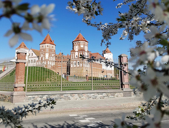  Дорогой замков: Мир, Новогрудок - Изображение 0