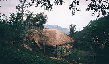 Отдых на Шри-Ланке из Минска, Москвы (авиа)