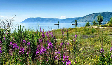 Мелодия Байкала